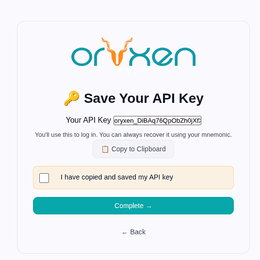 Step 4: API key displayed