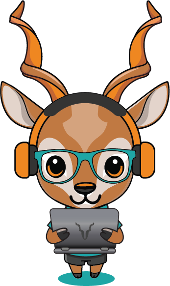 ORY Computer visual